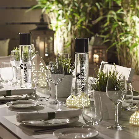 Hotel Anatolia Saloniki