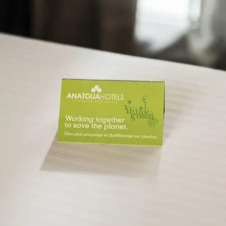 أناتوليا فندق سالونيك